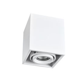 চীন এক - লিভিং কক্ষ IP20 জন্য হেড 15W COB LED সারফেস মাউন্ট ডাউনলাইট সরবরাহকারী