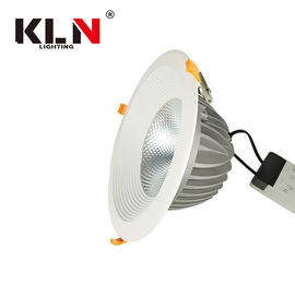 বীম এঙ্গেল 45 ° 10 ইঞ্চি LED ডাউনলাইট 50w Lifud ড্রাইভার উপলব্ধ 100 - 240V সরবরাহকারী